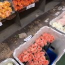 원예조합2호 이미지