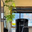 나우피티스튜디오 이미지