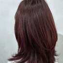 은성종합카크리닉 | 송도에서 만난 새로운 스타일, 이곳에서 시작해보세요!