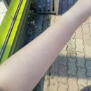 루비펫 | 우리 루비와의 이야기