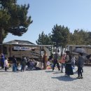 현북초등학교 | 로브양과 함께하는 하조대마켓 후기