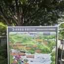 라스코동굴벽화 광명 동굴전 | 광명동굴 이야기_방문 후기(25.8.16)