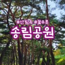 송림보리밥 이미지