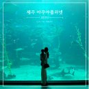 아쿠아스토리헤어 | 제주 동쪽 아이와 가볼만한곳 실내관광지 아쿠아플라넷