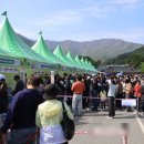 김천제일종합정비공장 | 2025 김천 김밥축제 15만명 다녀간 축제!! (김밥 소개 및 솔직 후기) (2026 참고 자료)