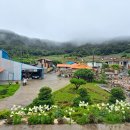 선학농장 이미지