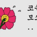 김치찌개뒷고기 이미지