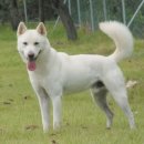 방주축산 이미지