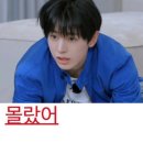 (주)다이브비앤비 | [일본 워홀 준비➁] 집 구하기 !! | 비자 합격 후 할 일 | 한인부동산 후기