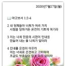 성구 Daum카페
