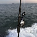 (주)금양 | 선상 문어낚시대 가성비 제품 문어대 추천 금양피싱 에포크 타코 9:1 상세 후기