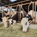 삼민목장 이미지