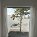 시재시재 이미지