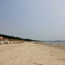 인당 태양광발전소 이미지