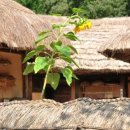 고향에봄 이미지