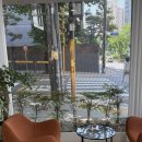 (주)힐링파마 | 송파산후마사지추천, 히어맘 후기 없는 이유