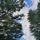 곽한의원 이미지