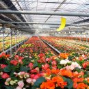 원예농장 이미지