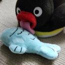 사람사는 집 네이버블로그