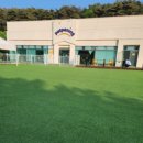 펫프닝 타운 이미지