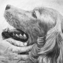 데생 중급 이미지