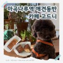 고드니 | 서울 마곡나루 애견동반 [카페 고드니] 휘낭시에맛집, 내돈내산 후기