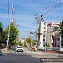 OK 꽃백화점 이미지