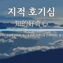 호기심으로 보는 세상 이미지