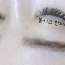 붙이고 반하다