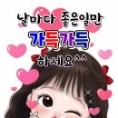 대도시의사랑법 추천,보고후기 이미지