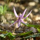 그리하오 이미지