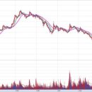 (주)현대무역상사 이미지