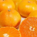 다둥이농장 이미지