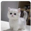 수제산업동물병원 이미지