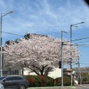 세븐일레븐제주아란길점 | 제주스냅 유난히아름다운오늘(유아오) 진행 솔직후기