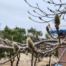 연리보건진료소 이미지