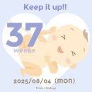제원작은도서관 | [8월 2주] &#39;꼭&#39;💙스토리