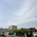 뽑튜브
