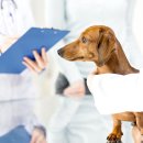 흥덕종합동물병원 이미지