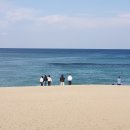 바닷물도 피부가 있다(강릉 송정) 이미지