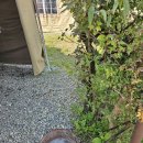 울성낚시터 | [평택 글램핑] 울성캠핑낚시터 글램핑 1박 후기