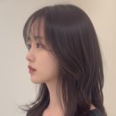 베체헤어