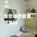 댕빛나 이미지
