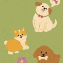 코어 행정사 사무소 이미지