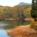 노현1리 이미지