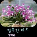 고맙습니다. 봄소풍을 위한 사전답사는 큰 뜻을 품고 있답니다. 이미지