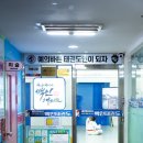 용인대석사백인태권도장 이미지