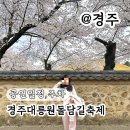 마임 | 경주 대릉원돌담길 축제 벚꽃 개화시기 주차 행사 실시간 정보