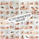 체리쉬펫 이미지