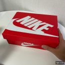 CW-1588-01 | 어린이 운동화 덩크 로우 나이키 범고래 PS 리뷰